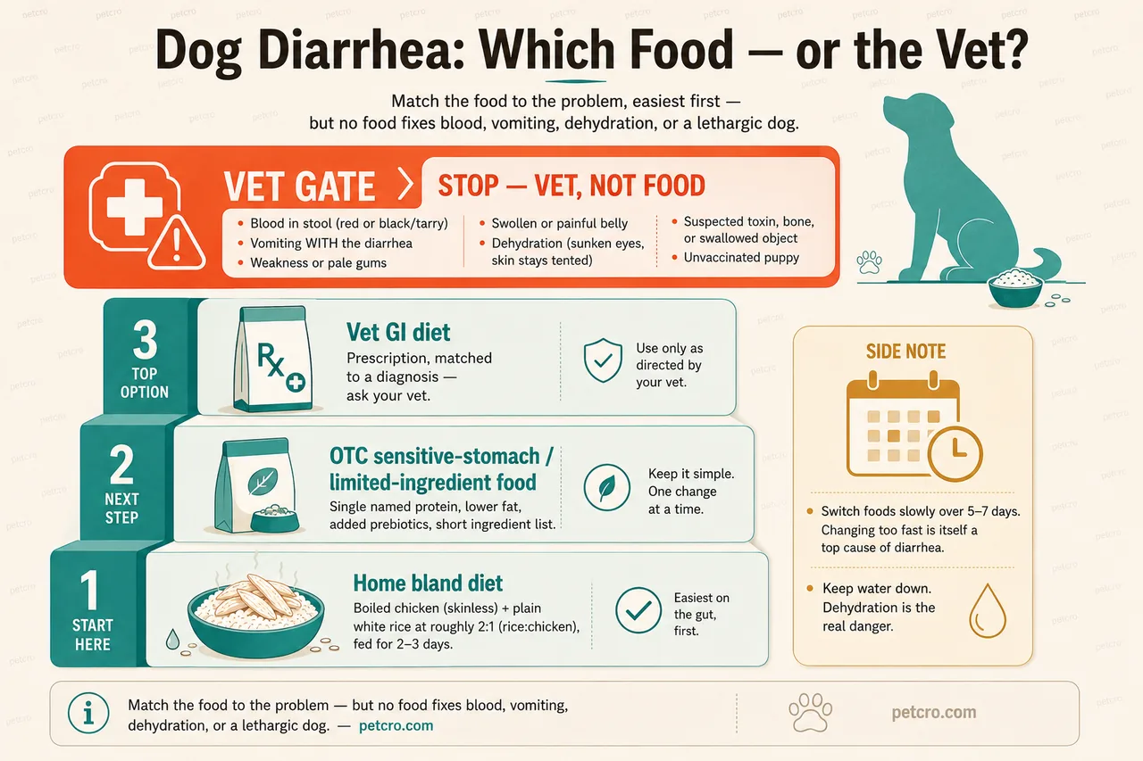 Decision guide for what to feed a dog with diarrhea — and when food is the wrong tool. First, the vet gate: blood in the stool, vomiting alongside the diarrhea, weakness or pale gums, a swollen or painful belly, dehydration, a suspected toxin, or an unvaccinated puppy means no food experiment — call the vet now. If the dog is otherwise bright, three food options, easiest first: 1) a free home bland diet — boiled skinless chicken and plain white rice, about 2 parts rice to 1 part chicken, no oil or seasoning, for 2 to 3 days; 2) an over-the-counter sensitive-stomach or limited-ingredient food — single named protein, lower fat, added prebiotics, short ingredient list; 3) a vet-prescribed gastrointestinal diet for ongoing or diagnosed problems. Whatever you pick, switch foods gradually over 5 to 7 days — changing too fast is itself a top cause of diarrhea — and keep fresh water down throughout.