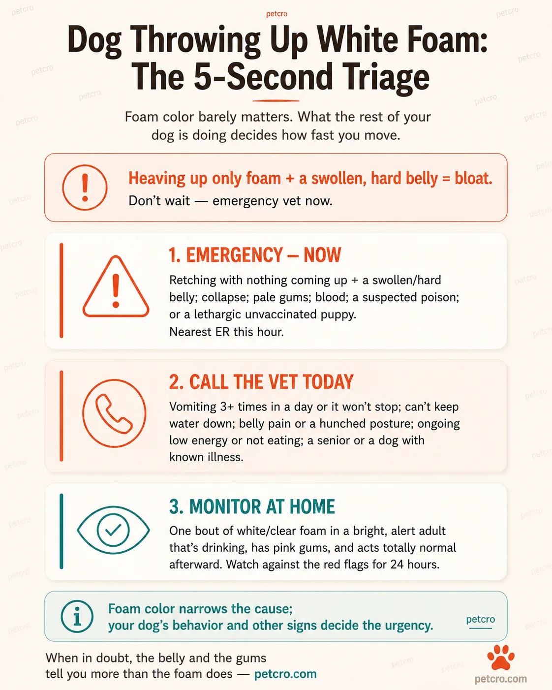 Three-tier emergency triage for a dog throwing up white foam, under the rule that foam color doesn't decide danger — the dog's other signs do. Tier 1 EMERGENCY GO NOW (red): retching but nothing comes up plus a swollen or hard belly (bloat), collapse, pale or blue gums, blood in the vomit, suspected poison, or a lethargic unvaccinated puppy. Tier 2 CALL THE VET TODAY (orange): vomiting 3 or more times in 24 hours, can't keep water down, belly pain or a hunched praying posture, or ongoing lethargy or not eating. Tier 3 MONITOR AT HOME (teal): one episode of white or clear foam in a bright, alert adult dog that's drinking, has pink gums, and acts normal afterward — watch for 24 hours. Side callout, the one that kills, bloat (GDV): foam your dog can't bring up — repeated retching with a swollen, hard belly — is bloat until proven otherwise, can cause shock in an hour or two, so don't wait, drive to the ER this hour. Caption: when in doubt, call your vet, the consult is far cheaper than a delayed emergency.