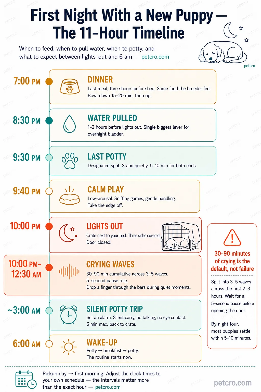 Vertical 11-hour timeline for a new puppy's first night home — 8 events from pickup-day dinner through next-morning wake-up. 7:00 PM (golden brown): DINNER — last meal, three hours before bed, same food the breeder fed, bowl down 15-20 min then up. 8:30 PM (teal): WATER PULLED — 1-2 hours before lights out, single biggest lever for overnight bladder. 9:30 PM (mint with teal outline): LAST POTTY — designated spot, stand quietly 5-10 min for both ends. 9:40 PM (cream with golden brown outline): CALM PLAY — low-arousal sniffing games and gentle handling, take the edge off. 10:00 PM (deep coral): LIGHTS OUT — crate next to your bed, three sides covered, door closed. 10:00 PM–12:30 AM (warning orange wider band): CRYING WAVES — 30-90 min cumulative across 3-5 waves, 5-second pause rule, drop a finger through the bars during quiet moments. ~3:00 AM (mint): SILENT POTTY TRIP — set an alarm, silent carry no talking no eye contact, 5 min max then back to crate. 6:00 AM (warm cream): WAKE-UP — potty → breakfast → potty, the routine starts now. Coral warning-triangle callout block alongside the timeline reads: 30-90 minutes of crying is the default not failure — split into 3-5 waves across the first 2-3 hours, wait for a 5-second pause before opening the door, by night four most puppies settle within 5-10 minutes. Bottom caption: pickup day to first morning, adjust the clock times to your own schedule, the intervals matter more than the exact hour.