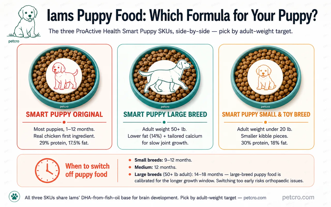Iams ProActive Health puppy formula comparison — three cards showing Smart Puppy Original (most puppies, real chicken first ingredient, 29% protein and 17.5% fat), Smart Puppy Large Breed (50+ lb adult weight, lower fat at 14% with tailored calcium for slow joint growth), and Smart Puppy Small Breed (small to toy adult sizes, smaller kibble pieces, 30% protein and 18% fat), with a side callout on when to switch off puppy food by adult size