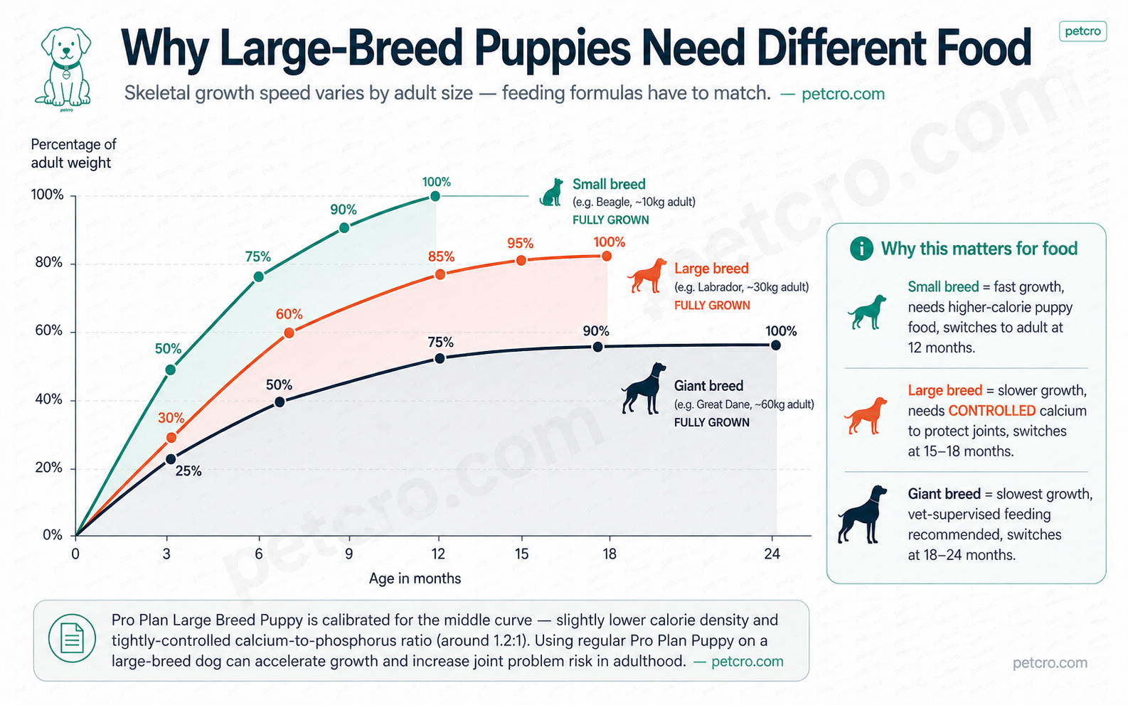 Growth-speed comparison across small, large, and giant breed puppies. Small breeds (Beagle ~10kg) reach 100% adult weight at 12 months. Large breeds (Labrador ~30kg) reach 100% at 18 months. Giant breeds (Great Dane ~60kg) reach 100% at 24 months. Pro Plan Large Breed Puppy is calibrated to the middle curve with controlled calcium for slower skeletal development