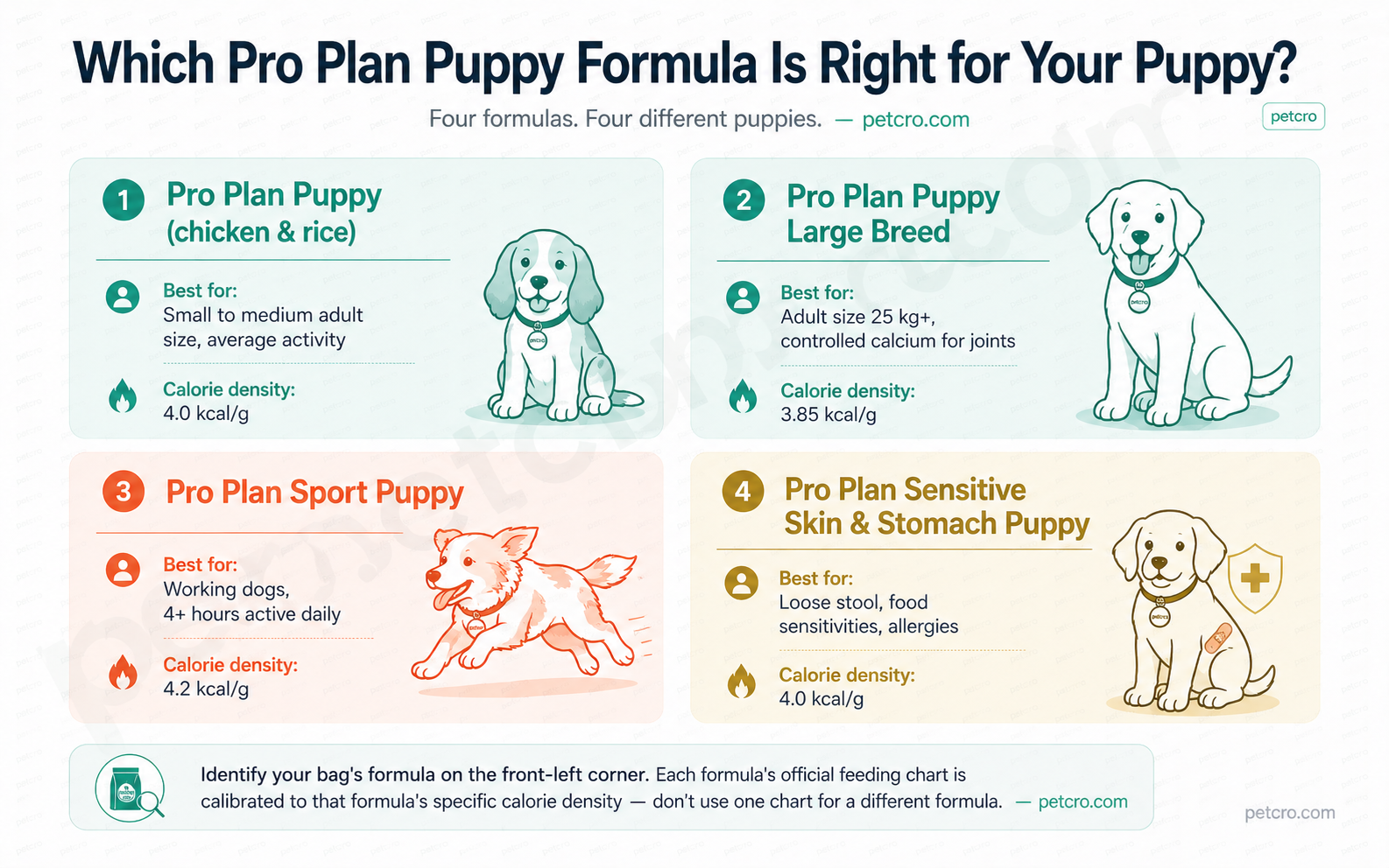 Purina Pro Plan puppy formula comparison — four cards showing the differences between Pro Plan Puppy (4.0 kcal/g, small to medium breeds), Pro Plan Puppy Large Breed (3.85 kcal/g, 25kg+ adult size), Pro Plan Sport Puppy (4.2 kcal/g, working dogs), and Pro Plan Sensitive Skin & Stomach Puppy (4.0 kcal/g, food sensitivities)