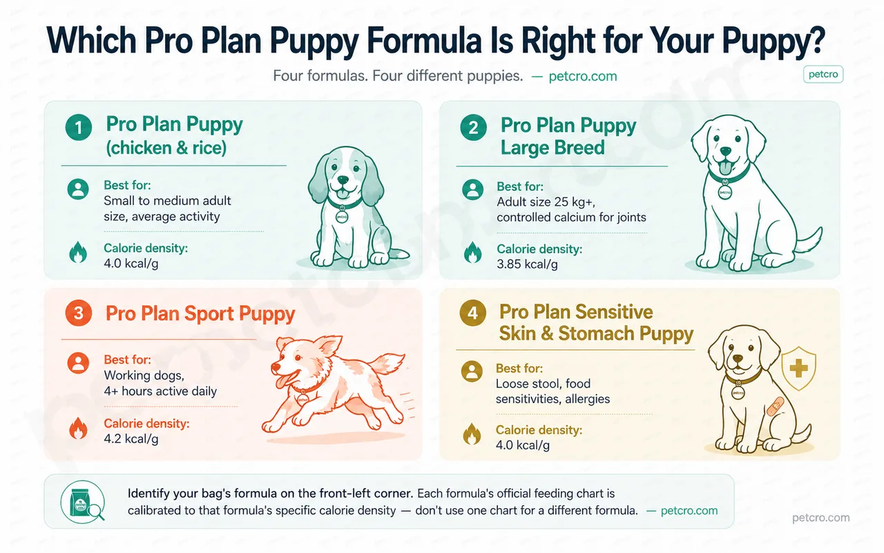 Purina Pro Plan puppy formula comparison — four cards showing the differences between Pro Plan Puppy (4.0 kcal/g, small to medium breeds), Pro Plan Puppy Large Breed (3.85 kcal/g, 25kg+ adult size), Pro Plan Sport Puppy (4.2 kcal/g, working dogs), and Pro Plan Sensitive Skin & Stomach Puppy (4.0 kcal/g, food sensitivities)