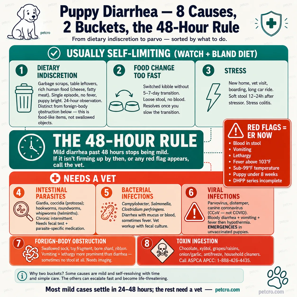 Bento decision-tree showing 8 causes of puppy diarrhea split into 2 visual buckets with a central teal 48-hour rule callout. Top bucket USUALLY SELF-LIMITING WATCH + BLAND DIET (teal header, 3 mint cards with teal accents): 1 DIETARY INDISCRETION (ate something they shouldn't, single episode, no fever, puppy bright, 24-hour observation), 2 FOOD CHANGE TOO FAST (switched kibble without 5-7-day transition, loose stool no blood, resolves once you slow the transition), 3 STRESS (new home, vet visit, boarding, long car ride, soft stool 12-24h after stressor, stress colitis). Bottom bucket NEEDS A VET (coral header, 5 escalating orange-to-coral cards): 4 INTESTINAL PARASITES (Giardia, coccidia protozoa, hookworms roundworms helminths, chronic intermittent, needs fecal test + parasite-specific medication), 5 BACTERIAL INFECTIONS (Campylobacter, Salmonella, Clostridium perfringens, diarrhea with mucus/blood, sometimes fever, vet workup with culture), 6 VIRAL INFECTIONS (parvovirus, distemper, canine coronavirus, bloody diarrhea + vomiting + fever then hypothermia, EMERGENCIES in unvaccinated puppies), 7 FOREIGN BODY OBSTRUCTION (sock, toy fragment, bone shard, ribbon, vomiting + lethargy more prominent than diarrhea, needs imaging), 8 TOXIN INGESTION (chocolate, xylitol, grapes/raisins, onion/garlic, antifreeze, household cleaners, call ASPCA APCC 1-888-426-4435). Central teal THE 48-HOUR RULE callout: mild diarrhea past 48 hours stops being mild, if it isn't firming up by then or any red flag appears, call the vet. Right-side floating coral RED FLAGS = ER NOW callout: blood in stool, vomiting, lethargy, fever above 103°F, sub-99°F temperature, puppy under 8 weeks, DHPP series incomplete. Caption: most mild cases settle in 24-48 hours, the rest need a vet — petcro.com.