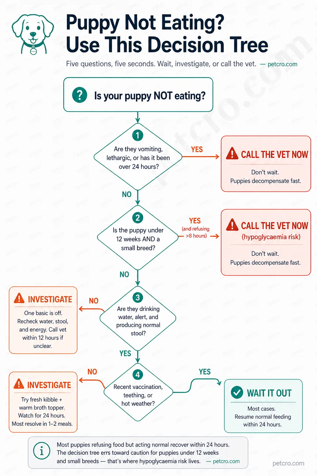 Decision tree flowchart for puppies refusing food. Branches through five questions to one of three outcomes: WAIT IT OUT (green) for healthy puppies after vaccination, teething, or hot weather; INVESTIGATE (amber) for unclear cases requiring the 5-minute checklist; CALL THE VET NOW (red) for puppies with vomiting, lethargy, hypoglycaemia risk in small breeds, or refusal lasting over 24 hours