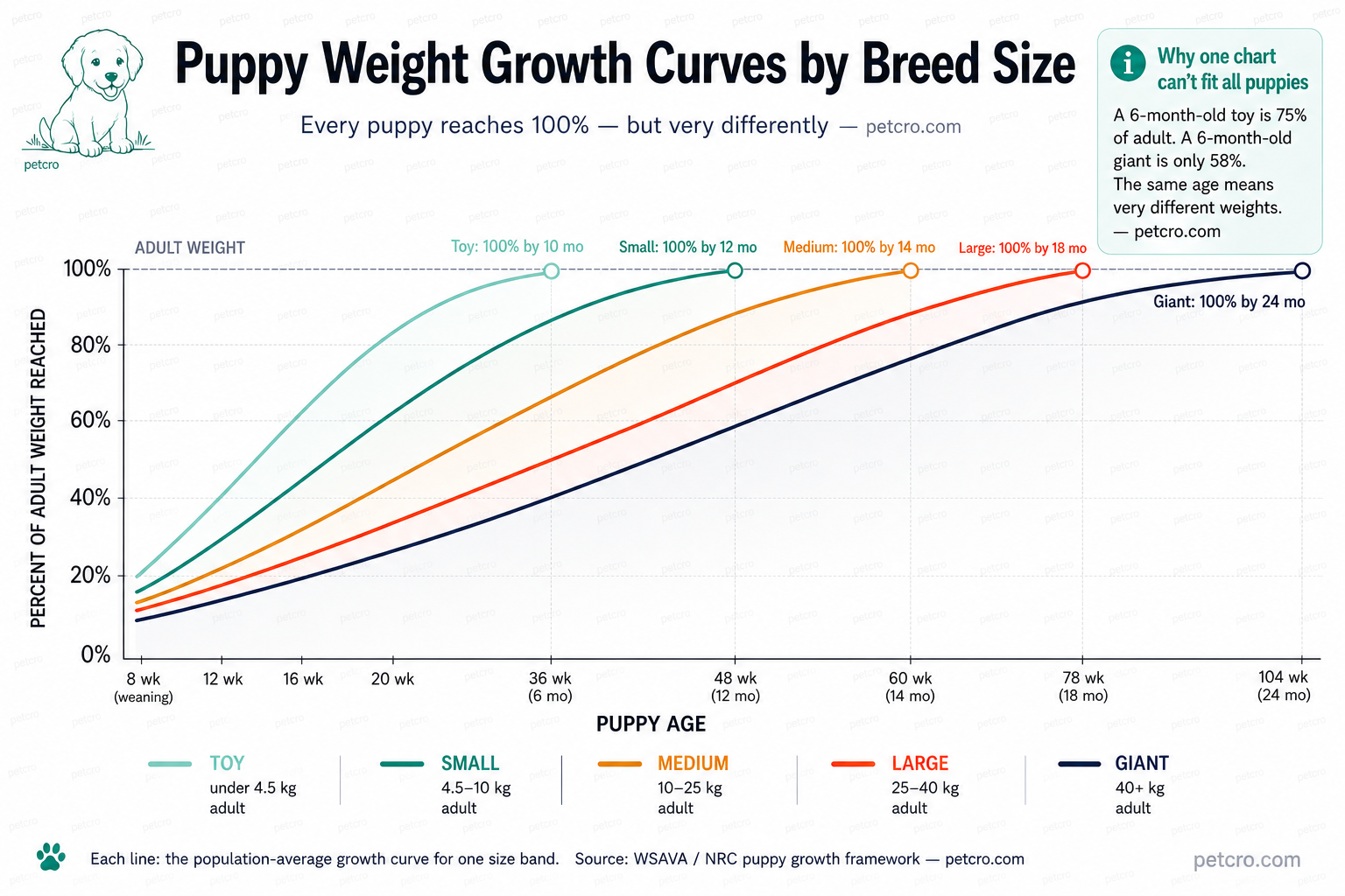 Puppy weight growth curves by breed size — five lines on one chart showing how each size band reaches 100% of adult weight at a different age. Toy breeds reach 100% by 10 months, small by 12 months, medium by 14 months, large by 18 months, and giant breeds by 24 months. At 6 months, a toy puppy is 75% of adult weight while a giant puppy is only 58% — the same age means very different weights, which is why a single puppy weight chart cannot fit all puppies.